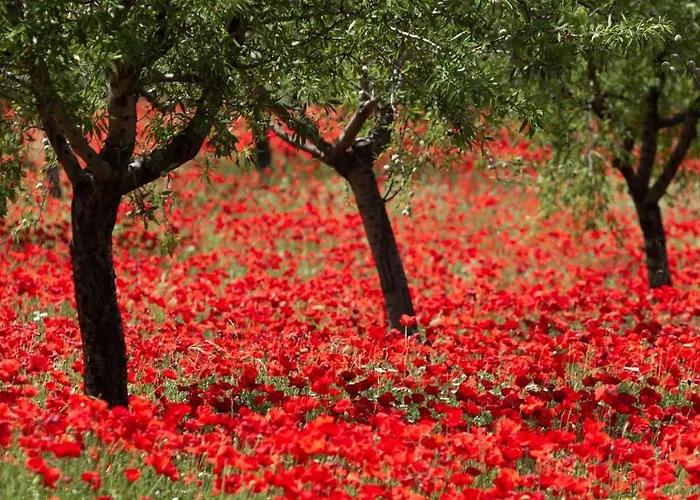 Lägenhet Casa L'escorretger Calaceite